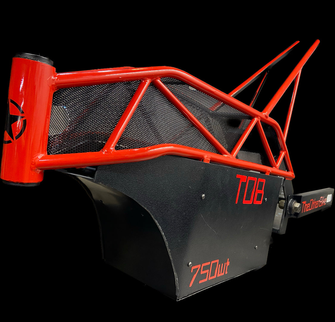 Trellis frame-Maciej Podrzucki