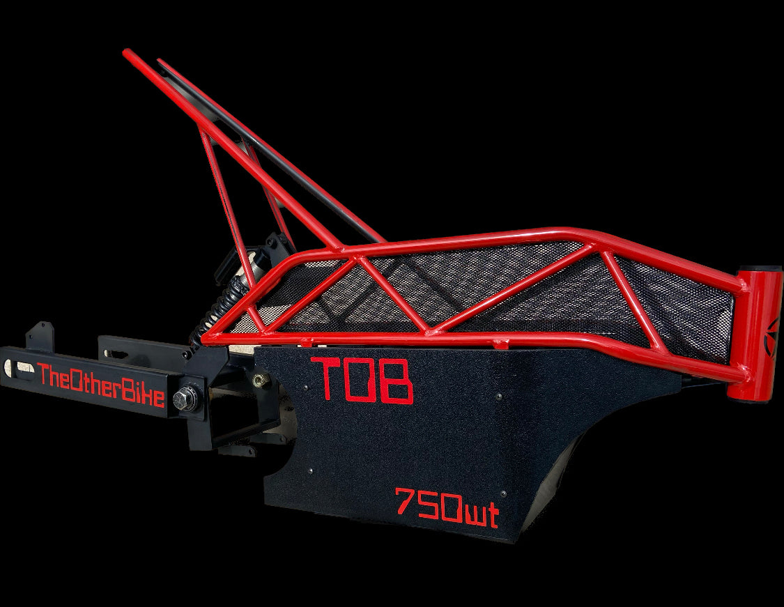 Trellis frame-Maciej Podrzucki