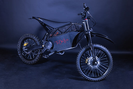 Stephen Freligh TheOtherBike TOB 14Kw 60ah electric bike